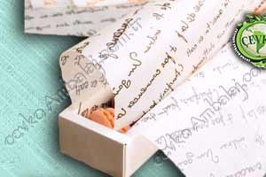 yağlı paketleme sarma kağıdı purger kağıdı piza kağıdı